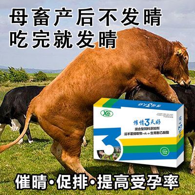 兽用猪牛羊专用提高受孕率快速排卵猪牛羊促情剂促孕多产仔配种快