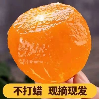 四川爱媛38号果冻橙橘子丑橘新鲜采摘果园直发整箱5斤装
