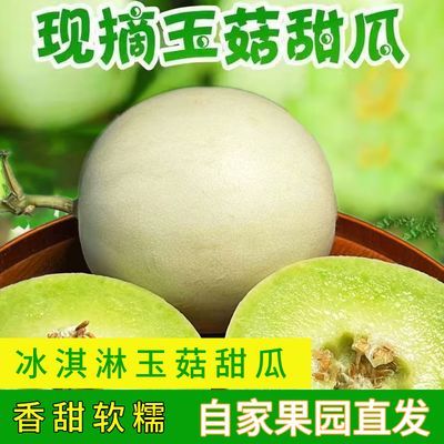 正宗玉菇甜瓜山东新鲜现摘爆甜水果2/5/9斤装冰激凌香瓜蜜瓜