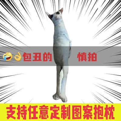 猫咪狗来图定制异形抱枕礼物DIY礼物靠垫3D照片定做靠枕动漫腰枕【6月8日发完】