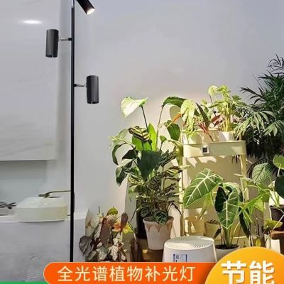 落地式室内多肉花卉LED生长灯 绿植物墙盆栽COB全光谱植物补光灯