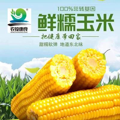 【农投康良】东北新鲜黄糯玉米10棒整箱非转基因真空独立包装批发