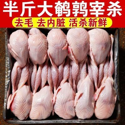 40只大号母鹌鹑新鲜鹌鹑肉速冻白条鹌鹑烧烤鹌鹑鸟现杀乳鸽一整箱