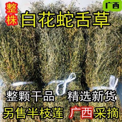 广西白花蛇舌草中药材520克百花蛇舌草新鲜干货 另售半枝莲铁