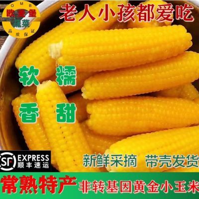 【顺丰】常熟特产黄金小当季带壳发货新鲜非转基因玉米