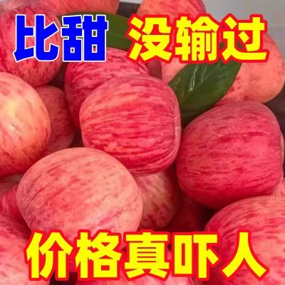 10斤装洛川苹果新鲜红富士水果脆甜应季比山东烟台樱桃甜一整箱当