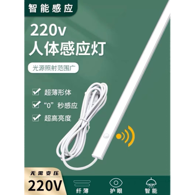 220V超薄插电式LED人体感应灯入户玄关鞋柜进门感应灯人来即亮