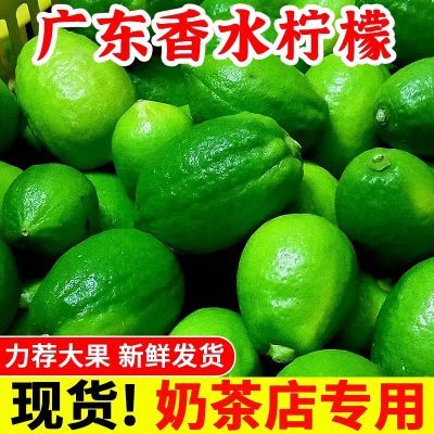 正宗广东香水柠檬无籽手打柠檬茶奶茶店专用四季柠檬现摘现发包邮