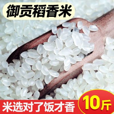 (新米)五常正宗御贡稻花米10/20斤厂家直发当季新米