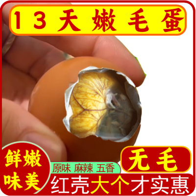 活珠子13天毛蛋钢化蛋喜蛋即食香辣鲜土鸡胚蛋滋补无毛红壳大个