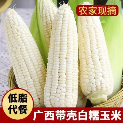 广西农家特产高山甜白糯玉米牛奶白粘玉米10斤5斤现摘发货非即