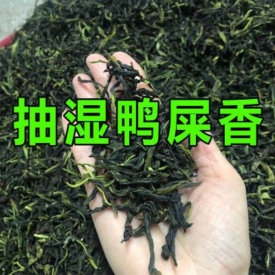 2024新春茶凤凰茶单枞茶抽湿鸭屎香乌岽村单丛茶叶清香型单从