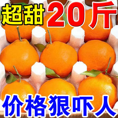 正宗四川春见耙耙柑10斤当季新鲜水果橘子特级粑粑柑果园现摘发货