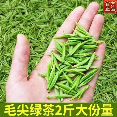 新鲜茶叶毛尖绿茶2024新茶高山云雾浓香耐泡型绿茶批发二级大