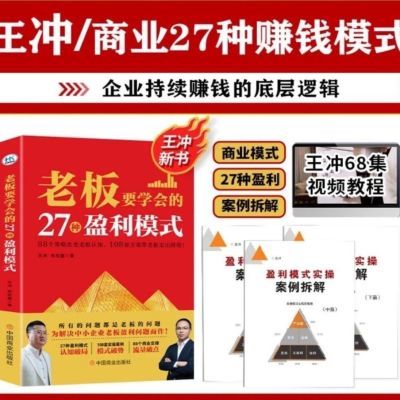 现货2024王冲老板必看27盈利模式108案例68拆解视频