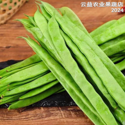 【超级低价】芸豆现摘扁豆四季豆无筋豆荷兰豆刀豆时令新鲜蔬菜