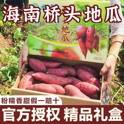 【精品礼盒装】正宗海南澄迈桥头地瓜5/9斤新鲜富硒板栗红薯番薯