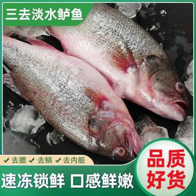 (特价中)淡水鲈鱼新鲜湖北国产冰鲜大鱼鲜活冷冻真空特大饭店批发