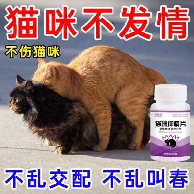 兽用强效抑情片宠物狗猫咪母猫公猫抑情禁情片发情期闹静情不乱尿