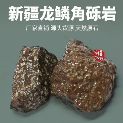 正品中强磁新疆甘沟龙鳞角砾岩陨石原石可加工把玩摆件随机发货