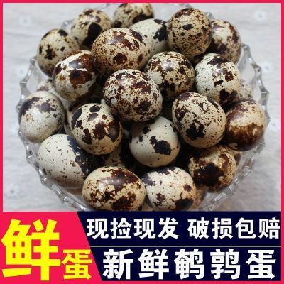 生鹌鹑蛋新鲜40枚现捡农家杂粮喂养生的鸟蛋孕妇辅食80枚