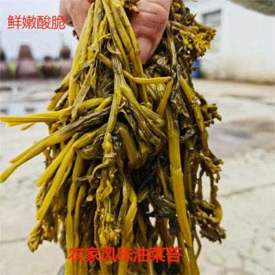 安徽芜湖农家油菜苔咸菜开胃菜