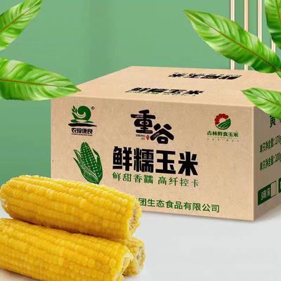 【农投康良】10棒真空包装整箱新鲜黄糯玉米非转基因加热即食批