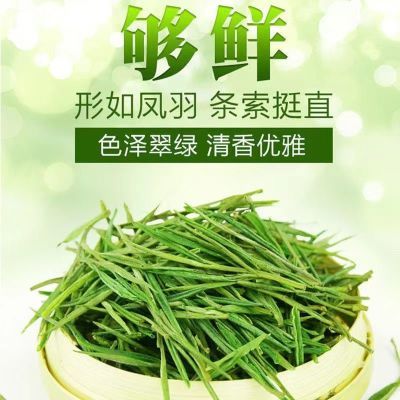 2024新茶特级安吉珍稀白茶高山新鲜明前嫩芽头采春茶正宗高档绿茶