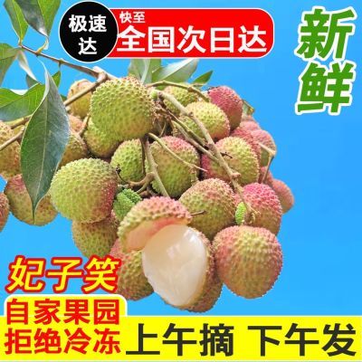 【贡果荔枝】现摘爆汁妃子笑荔枝正宗大果整箱茂名速装6斤装