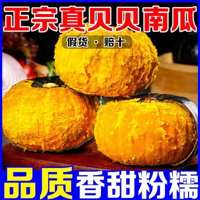 正宗贝贝南瓜板栗味小南瓜宝宝辅食新鲜粉糯甜老南瓜蔬菜批发贝贝