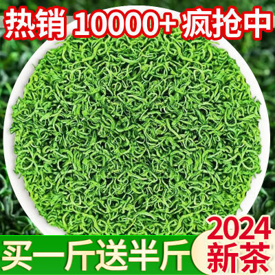 【买一斤送半斤】2024新茶叶明前云雾绿茶碧螺春浓香耐泡型批发价