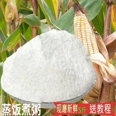 贵州中粗蒸饭包谷玉米面优质白玉米品种农家白苞谷现磨棒子面家用
