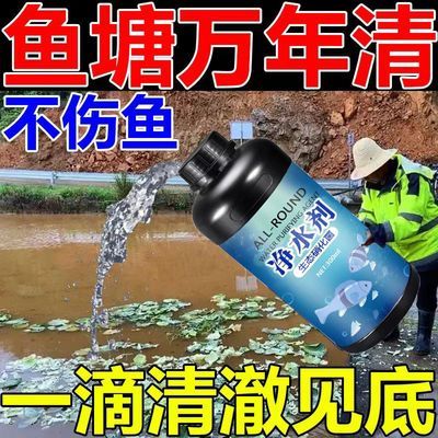 鱼塘净水剂池塘变清养鱼专用净水剂鱼塘杀毒菌除臭水变清水质净化