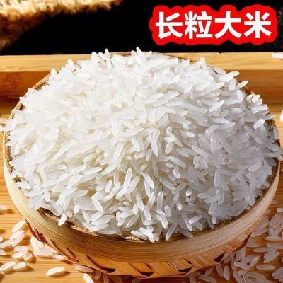 50斤南方大米猫牙米晚稻米丝苗米煲仔饭米蛋炒饭新米长粒香一季米