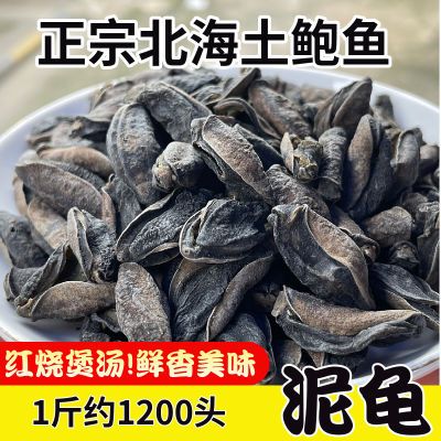 土鲍鱼 泥龟干货 营养品50g精选天然海鲜干货鲍螺干去泥熬汤煲汤