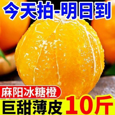 【爆甜】湖南麻阳冰糖橙当季新鲜橙子批发应季现摘黄皮橙甜橙脐橙