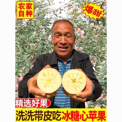 【脆甜冰糖心】天然农家丑苹果山西富士水果苹果原生态小苹果好吃