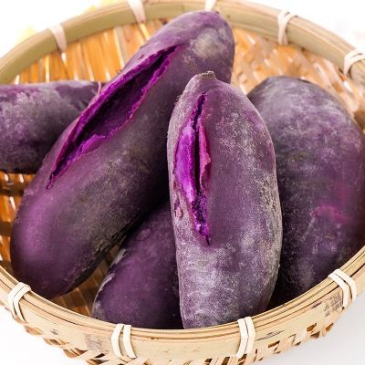 5斤国产紫薯新鲜紫罗兰红薯新鲜紫薯农家沙地瓜山芋小番薯3斤