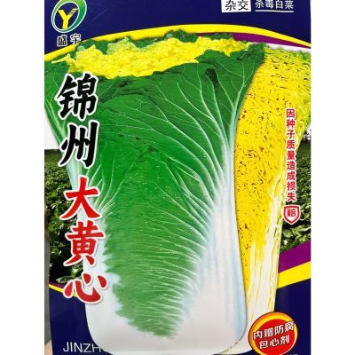 锦州大黄芯白菜籽 东北秋季冬储冬季大白菜籽 黄心储半年白菜籽