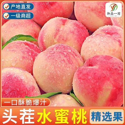 【精品彩箱】水蜜桃毛桃大桃子孕妇水果净重3/5/9斤新鲜现摘