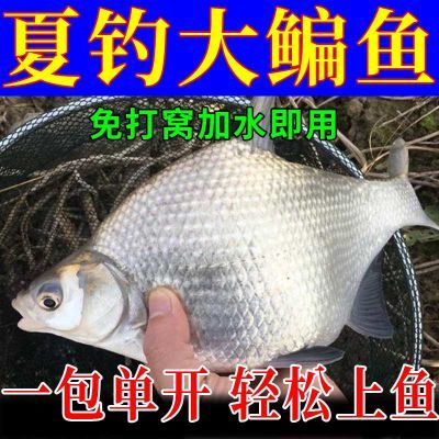 野钓鳊鱼专用饵料【无需打窝】黑坑野钓水库四季通用鳊鱼专用鱼饵