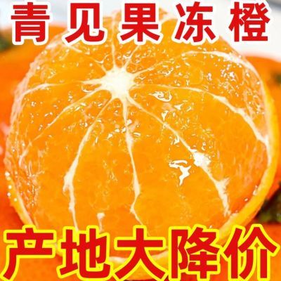 新鲜采摘四川果冻橙水果当季柑橘皇后青见手剥10/5斤应季水果清见