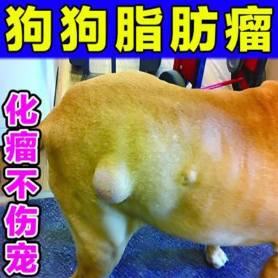【化瘤不伤宠】狗狗脂肪瘤粉瘤肉疙瘩小肉用脂肪瘤膏囊肿硬块凸起