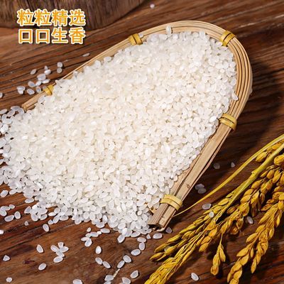东北大米混合米小町米10斤珍珠米20斤长粒稻花香米50斤厂家