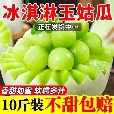 山东玉菇甜瓜新鲜孕妇水果应季头茬现摘软糯香甜蜜瓜脆瓜香瓜批发