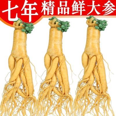 正宗长白山人参东北特产新鲜参泡酒滋补品非零食高品质七年参正品