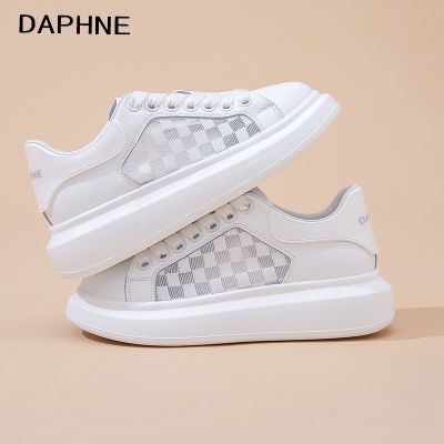 ڲDAPHNEܽ2025괺Ьʱаٴ͸СЬ179Ԫ