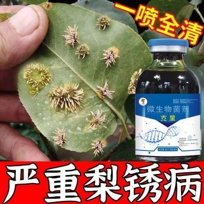 梨树专用药梨树病全治梨树专用杀菌剂梨树锈病黑斑病褐斑病软腐病