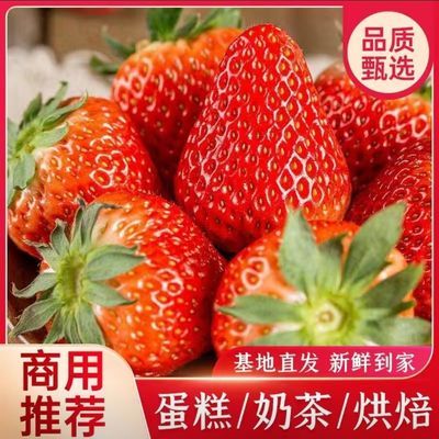 【闪电发货】云南新鲜夏季草莓直供蛋糕奶茶糖葫芦商用一整箱包邮