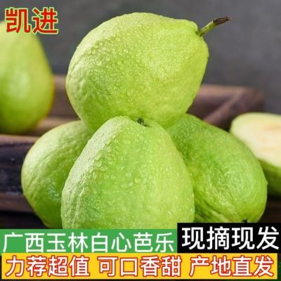 广西白心番石榴3斤5斤10斤现摘当季新鲜水果白心芭乐低糖送酸梅粉